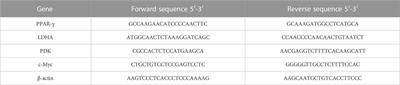 Canagliflozin alleviates valproic acid-induced autism in rat pups: Role of PTEN/PDK/PPAR-γ signaling pathways